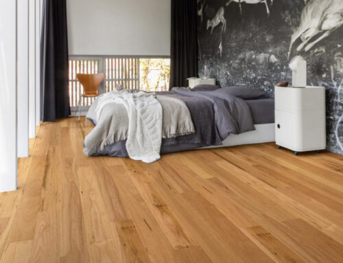 Quickstep Amato Blackbutt